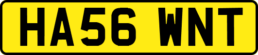 HA56WNT
