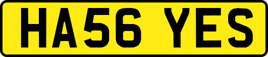 HA56YES