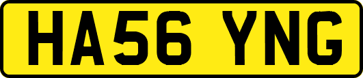 HA56YNG