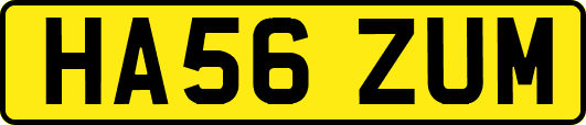 HA56ZUM