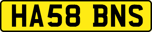 HA58BNS