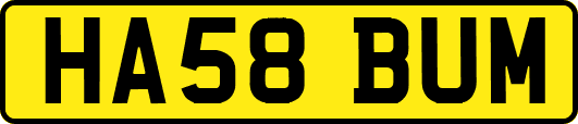 HA58BUM