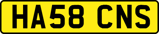 HA58CNS
