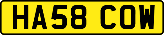 HA58COW