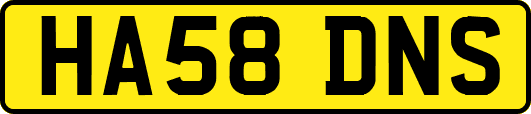 HA58DNS