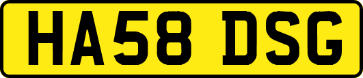 HA58DSG