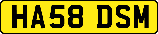HA58DSM