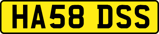 HA58DSS