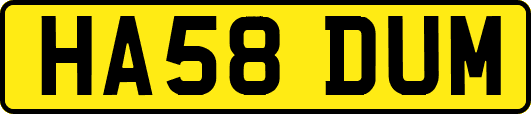 HA58DUM
