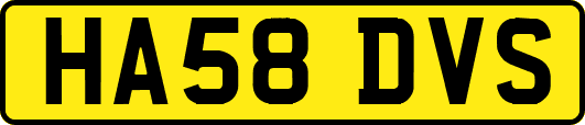HA58DVS