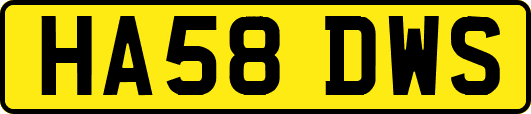 HA58DWS