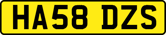 HA58DZS