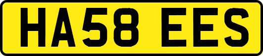 HA58EES