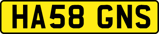 HA58GNS