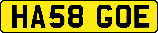 HA58GOE