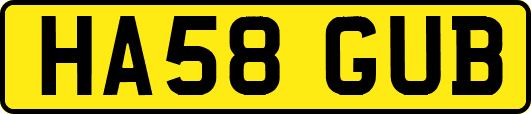 HA58GUB