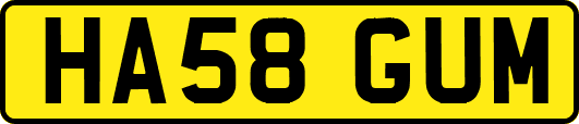 HA58GUM