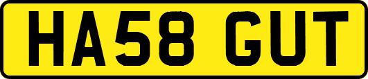 HA58GUT