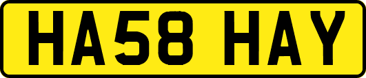 HA58HAY