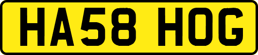 HA58HOG
