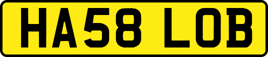 HA58LOB