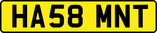 HA58MNT