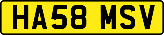HA58MSV