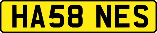 HA58NES