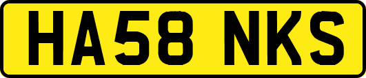 HA58NKS