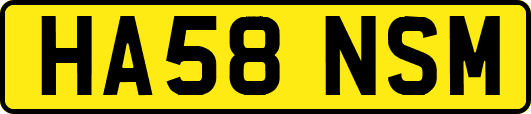 HA58NSM