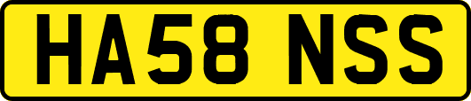 HA58NSS