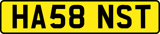 HA58NST