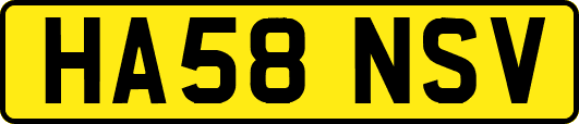 HA58NSV