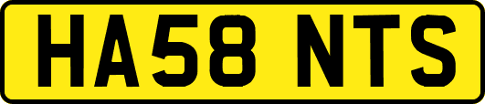 HA58NTS