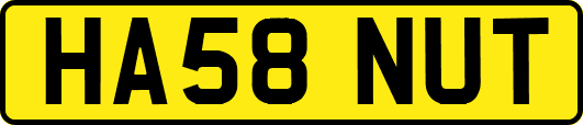 HA58NUT