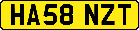 HA58NZT