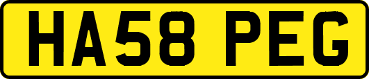 HA58PEG
