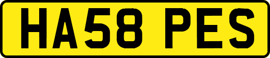 HA58PES