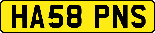 HA58PNS