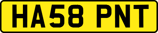 HA58PNT