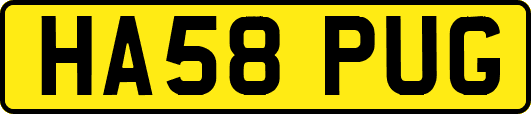 HA58PUG