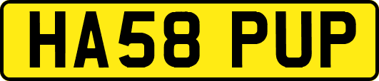 HA58PUP