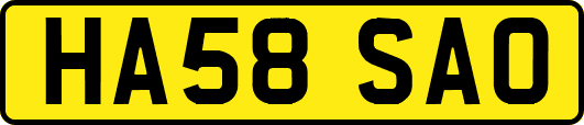 HA58SAO