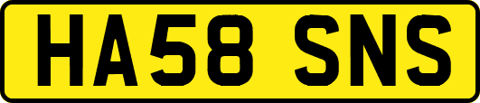 HA58SNS