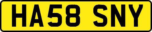HA58SNY