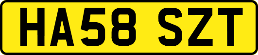 HA58SZT