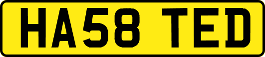 HA58TED