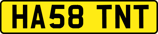 HA58TNT