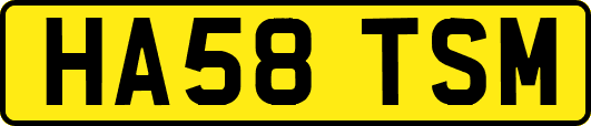 HA58TSM