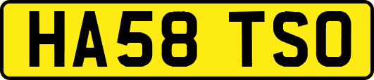 HA58TSO